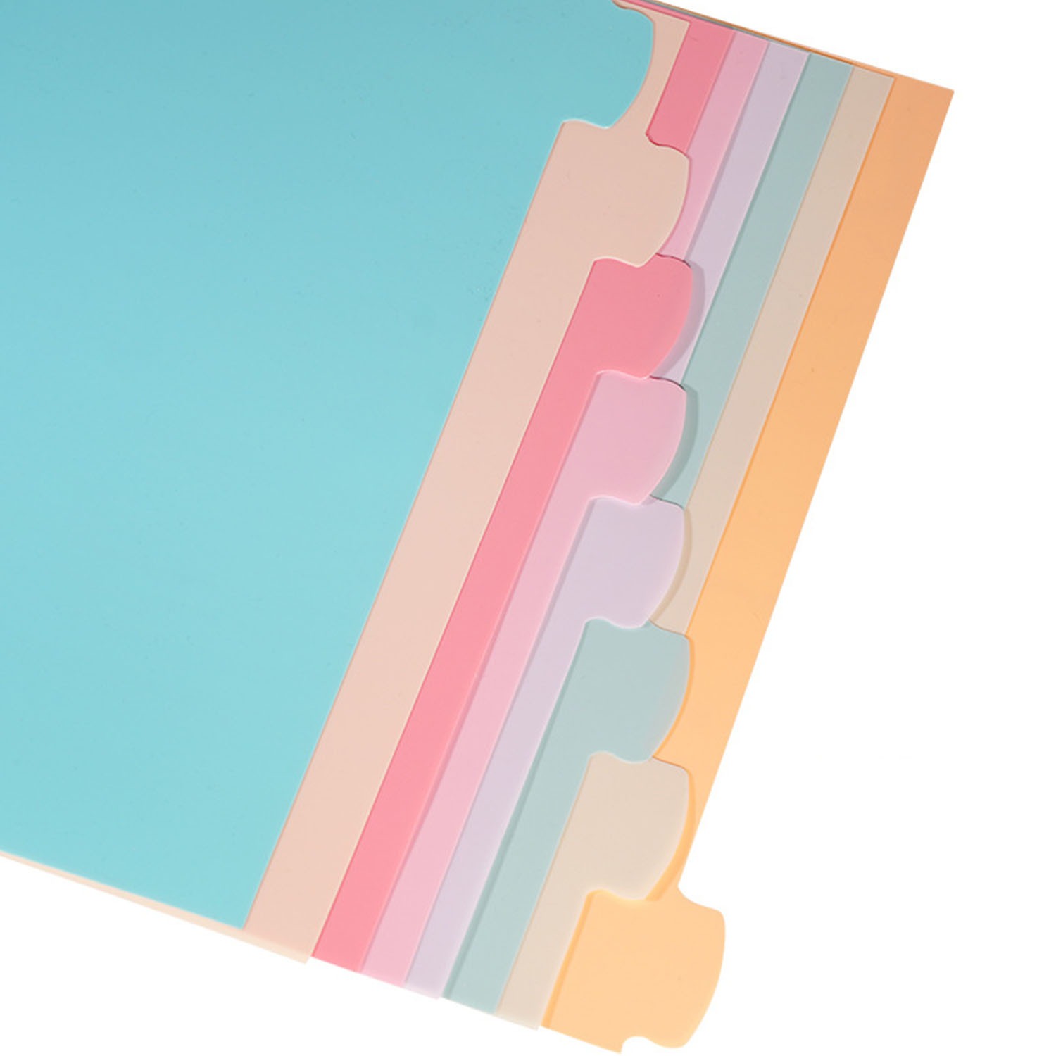 8 Tab Binder Dividers for 3 Ri - đánh giá và giá Paper Punch 3 Hole